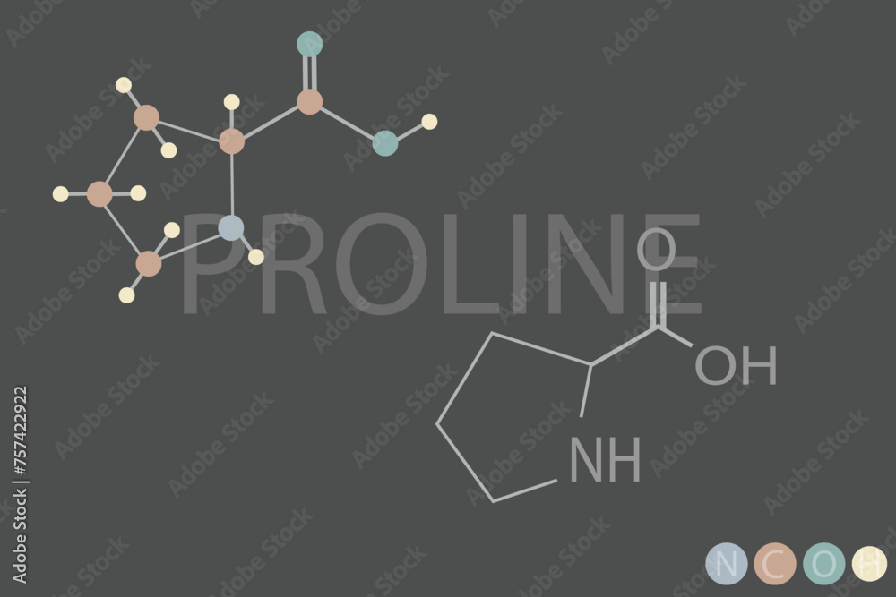 proline molecular skeletal chemical formula
proline molecular skeletal chemical formula