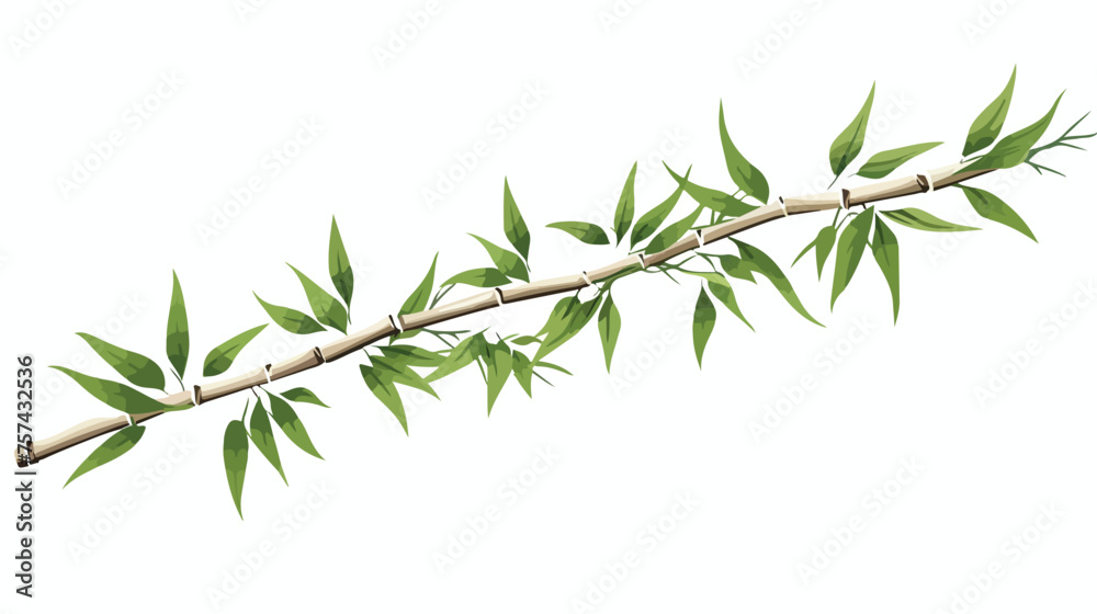 bamboo line vector isolated on white background top - obrazy, fototapety, plakaty 