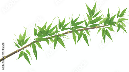 bamboo line vector isolated on white background top