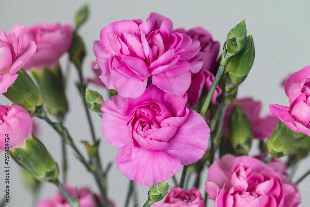 A close-up of a spring bouquet of pink carnations against white background