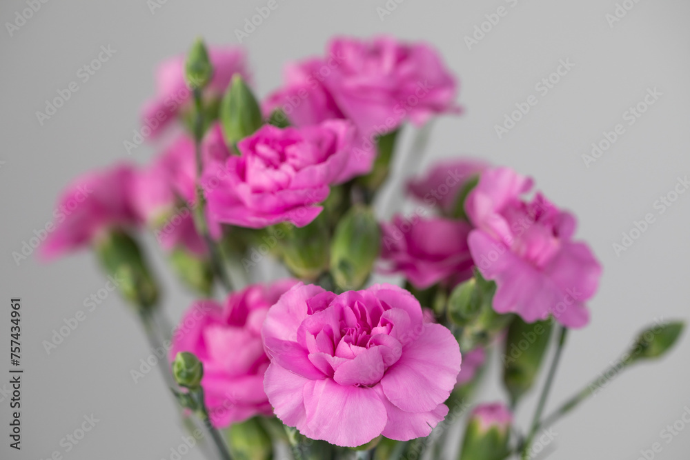 A close-up of a spring bouquet of pink carnations against white background