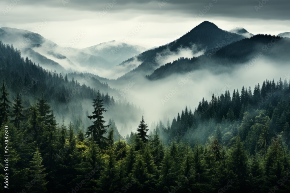 Majestic mountain engulfed in fog with a lush forest below