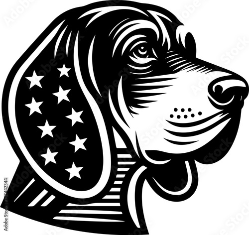  American Coonhound 