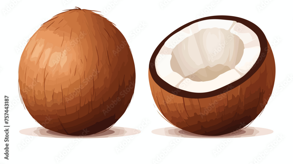 Coconut icon whole and half. Isolated flat icon symbol
