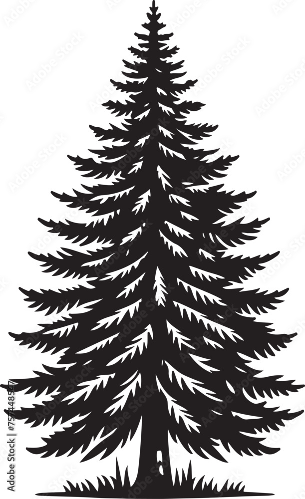 Pine Tree Silhouette vector Illustration Set Pine Tree Silhouette vector Illustration Set