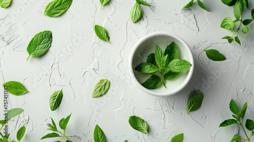Green basil leaves scattered on a cracked white textured surface with a bowl.