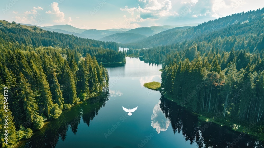 drone flying over a pine forest in Europe. Show off expansive landscapes, lakes, and mountains in the distance.