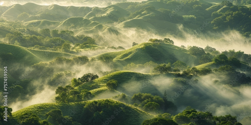 Lush green hills enveloped in mist. Lush green hills enveloped in mist.