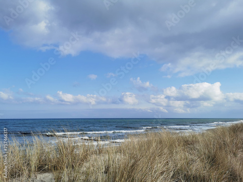 Fototapeta Naklejka Na Ścianę i Meble -  view on the Baltic Sea in North Germany
