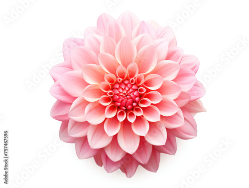 flower pink isolated on transparent background, transparency image, removed background