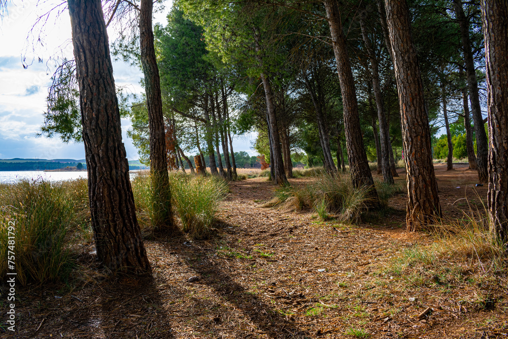 Fototapeta premium Hermosa naturaleza 