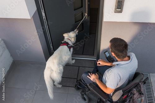 Photography Assistance dog helping a man in an electric wheelchair leave the home by closing the door