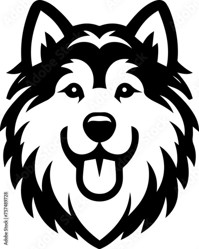  Alaskan Malamute