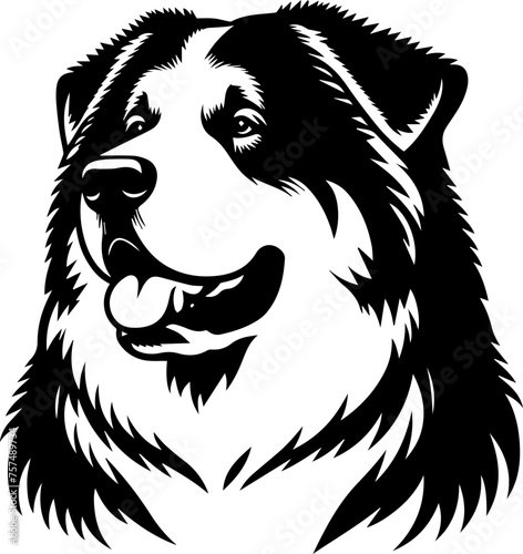  Alabai (Central Asian Shepherd) 