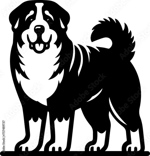 Alabai (Central Asian Shepherd)