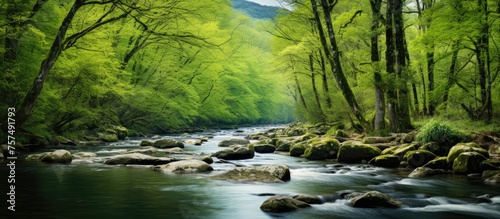 A beautiful watercourse meanders through a vibrant green forest filled with trees and rocks  creating a picturesque natural landscape  perfect for artistic inspiration