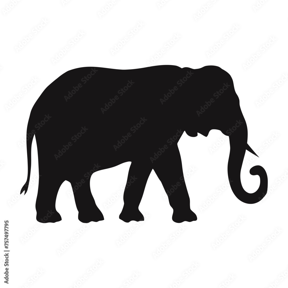 Obraz premium Elephant Silhouette
