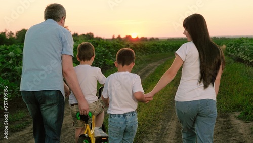 Mother talks to son while father supports younger boy riding bicycle against sunset. Son rides bicycle with father brother brother walking hand in hand with mother on plantation. Summer joint vacation