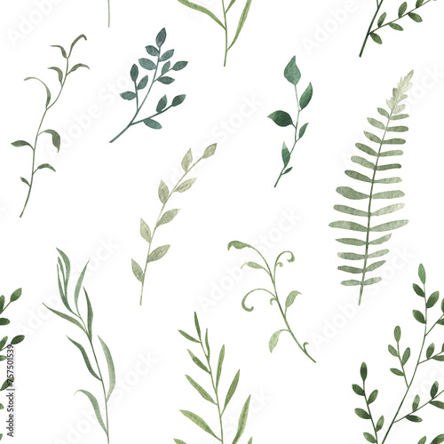 Watercolor seamless pattern with herbal branches . Hand drawn illustration on white background