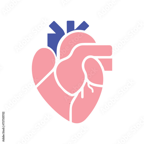 Human heart and Blood flow