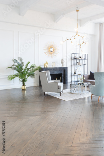 Modern luxury stylish apartment interior in pastel colors. a very bright room with huge windows filled with daylight. white walls  wooden parquet floors and a dark marble fireplace