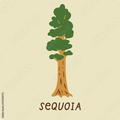 Sequoia. Vector flat illustration for card, logo and poster