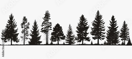 tree silhouettes on white background. illustration.