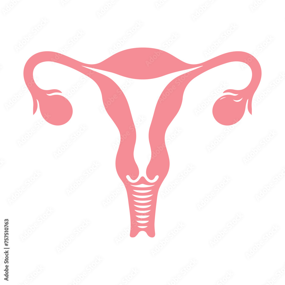 Obraz premium Uterus organ icon