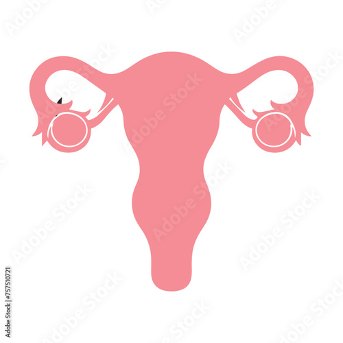 Uterus organ  icon