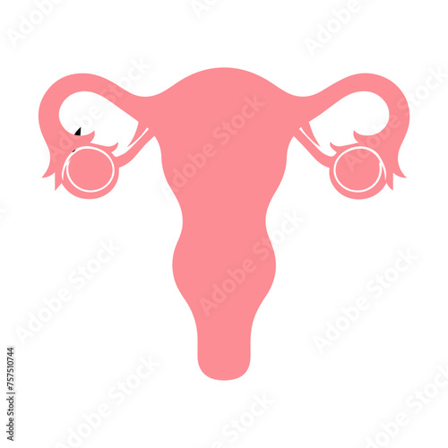 Uterus organ  icon