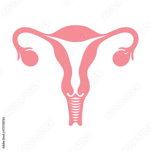 Uterus organ  icon