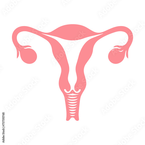 Uterus organ  icon