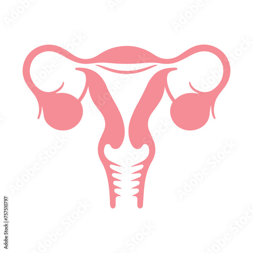 Uterus organ  icon