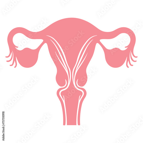 Uterus organ  icon