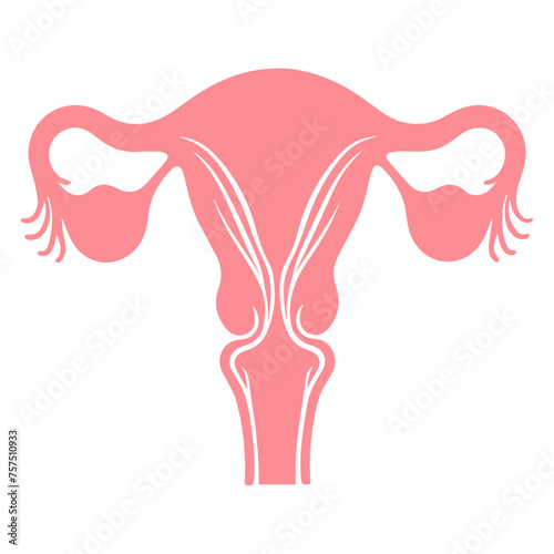 Uterus organ  icon