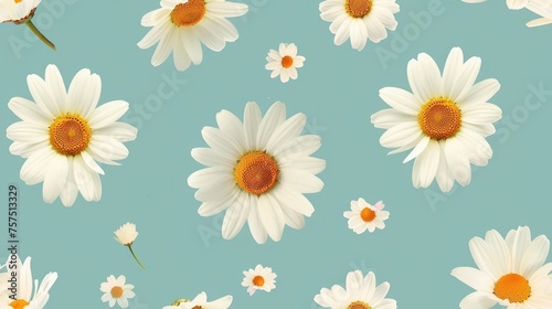 floral pattern of white daisies