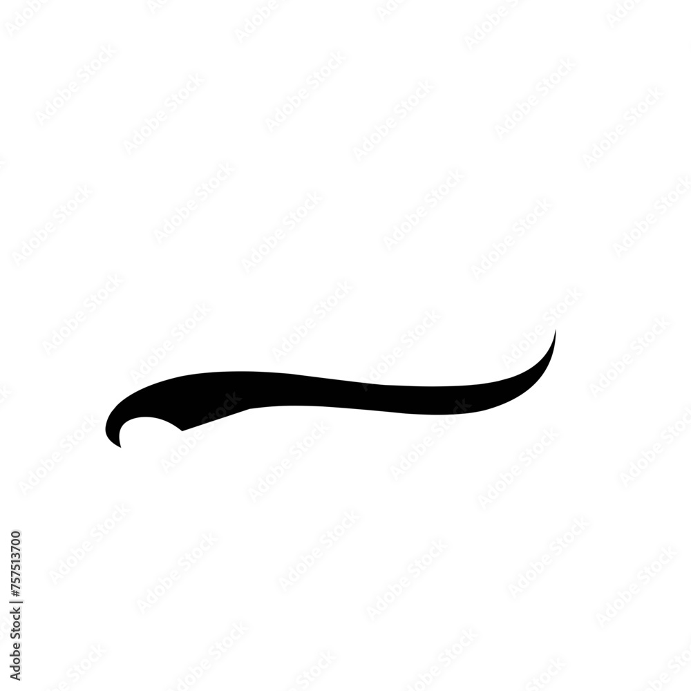 Calligraphic swoosh tail