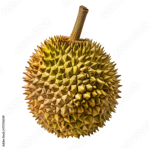 Exotic Durian Fruit - Delectable Tropical Delicacy for Gourmet Dishes and Desserts - Isolated on a Transparent Background