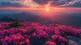  wonderful mountains Ukrainian sunrise landscape with blooming rhododendron flowers, summer sunrise scenery, colorful summer scene, travel, Ukraine, Europe, beauty world