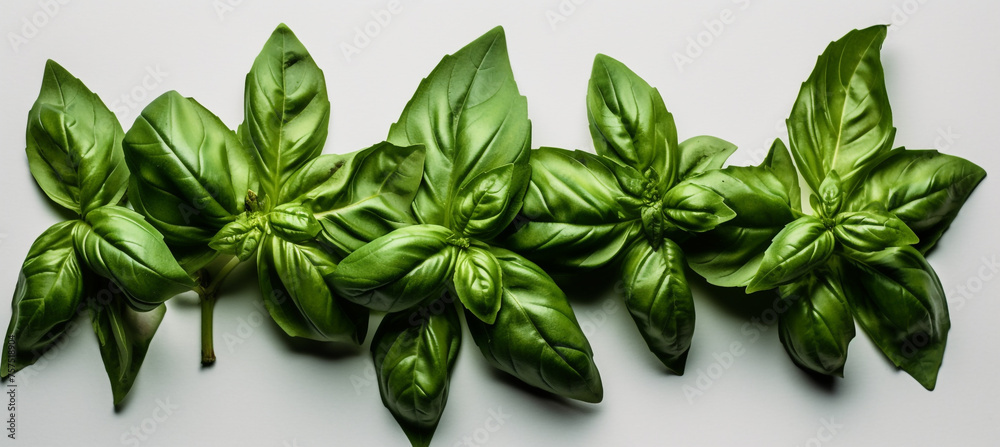 seasoning herb fresh leaves basil isolated on transperent background сreated with Generative Ai