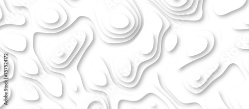 3d render, abstract white paper background. Paper cut vector art background banner texture. multi layer cutout geometric pattern on vector, Abstract soft white background with waves.