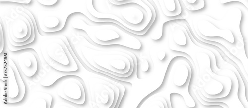 3d render, abstract white paper background. Paper cut vector art background banner texture. multi layer cutout geometric pattern on vector, Abstract soft white background with waves.
