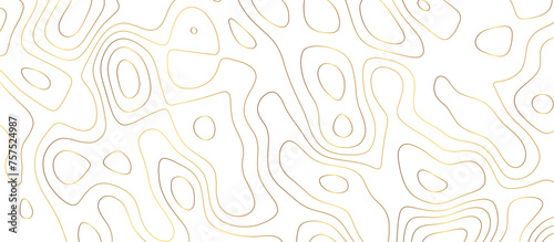 abstract golden wave paper curved reliefs background. Topography map pattern, Geographic curved, vector illustration. seamless textrue, vintage waves. Panorama view multicolor wave curve line.