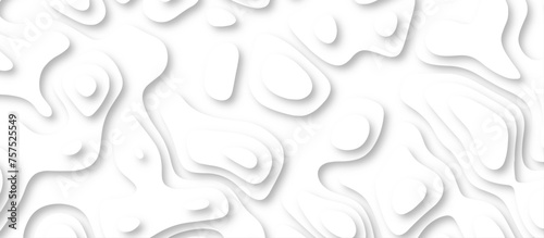 3d render, abstract white paper background. Paper cut vector art background banner texture. multi layer cutout geometric pattern on vector, Abstract soft white background with waves.