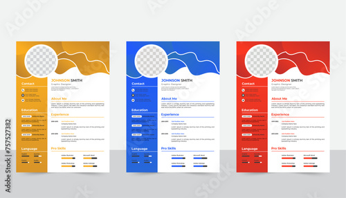 Professional CV resume template design
