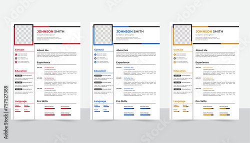 Professional CV resume template design