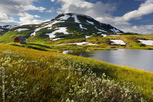 Finnbufjellet, Vetlavatnet, Vikafjell, Hordaland, Norwegen photo