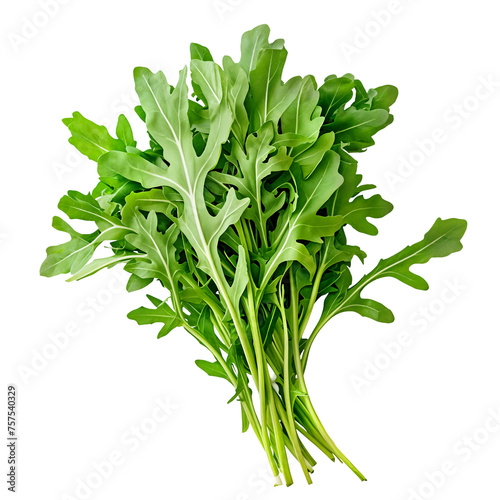Freshly Harvested Arugula Bunch - Versatile Leafy Green for Salads, Sandwiches, and Culinary Creations - Isolated on a Transparent Background