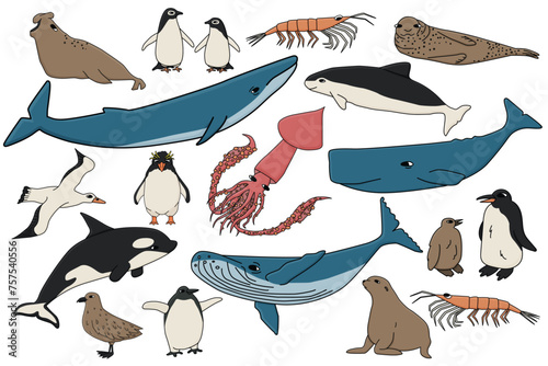 Vector set of colorful animals in Antarctica. Hand drawn outline collection of whales, penguins, skua, krill, seals, porpoise.