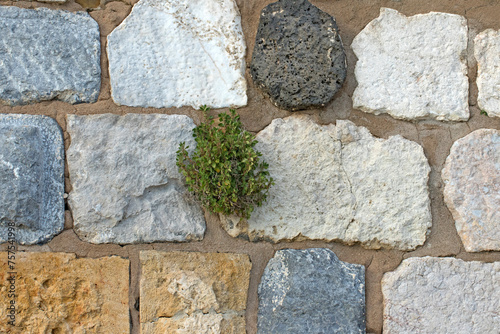 Φωτογραφία Texture of the wall of a medieval  castle in eastern Mediterranean Sea coastal z